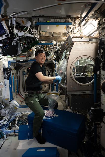 NASA image: NASA astronaut Jonny Kim works inside the Microgravity Science Glovebox