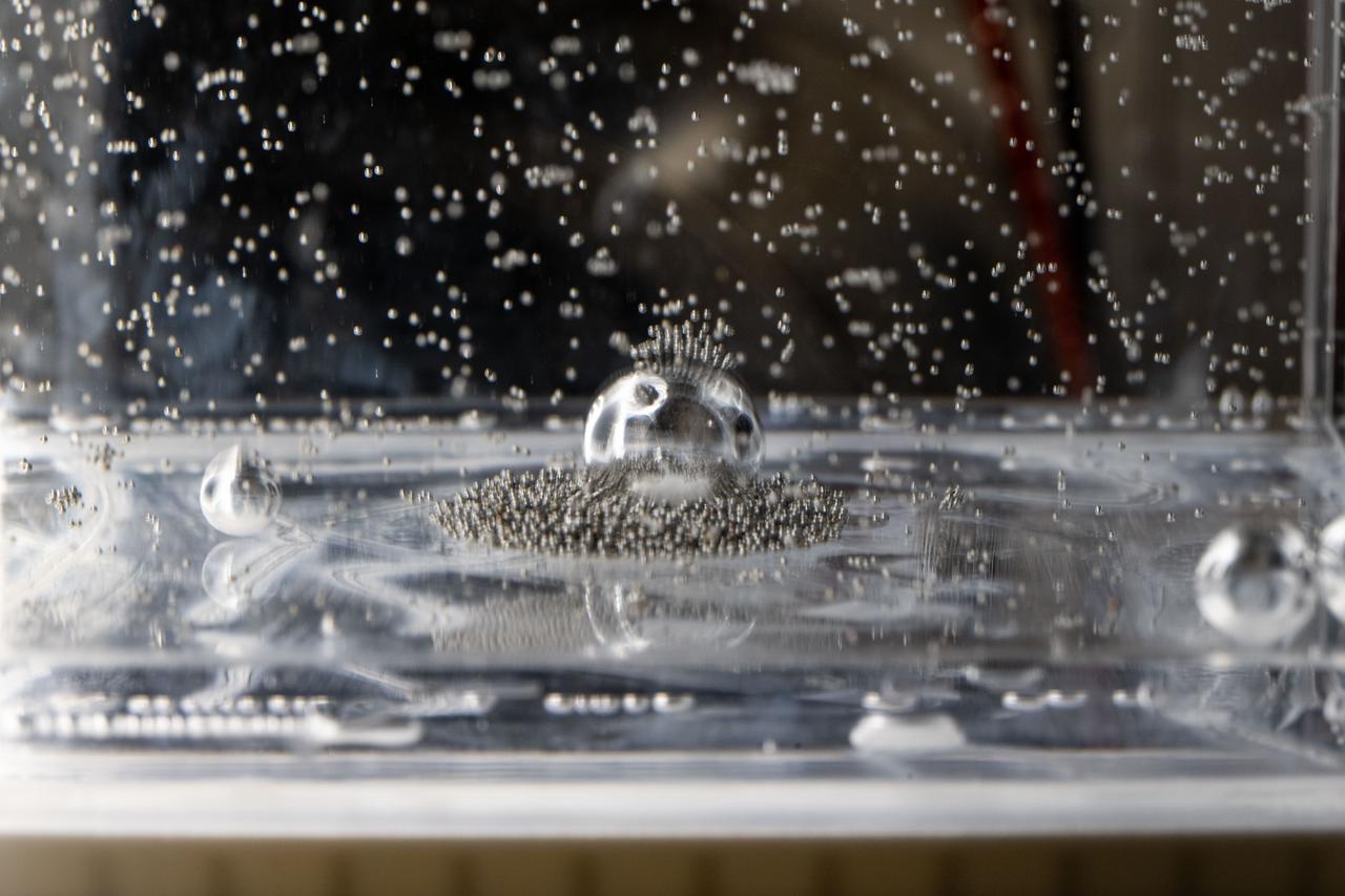 iss073e0917383 (Oct. 20, 2025) --- Tiny ball bearings surround a larger central bearing during the Fluid Particles experiment, conducted inside the Microgravity Science Glovebox (MSG) aboard the International Space Station’s Destiny laboratory module. A bulk container installed in the MSG, filled with viscous fluid and embedded particles, is subjected to oscillating frequencies to observe how the particles cluster and form larger structures in microgravity. Insights from this research may advance fire suppression, lunar dust mitigation, and plant growth in space. On Earth, the findings could inform our understanding of pollen dispersion, algae blooms, plastic pollution, and sea salt transport during storms.