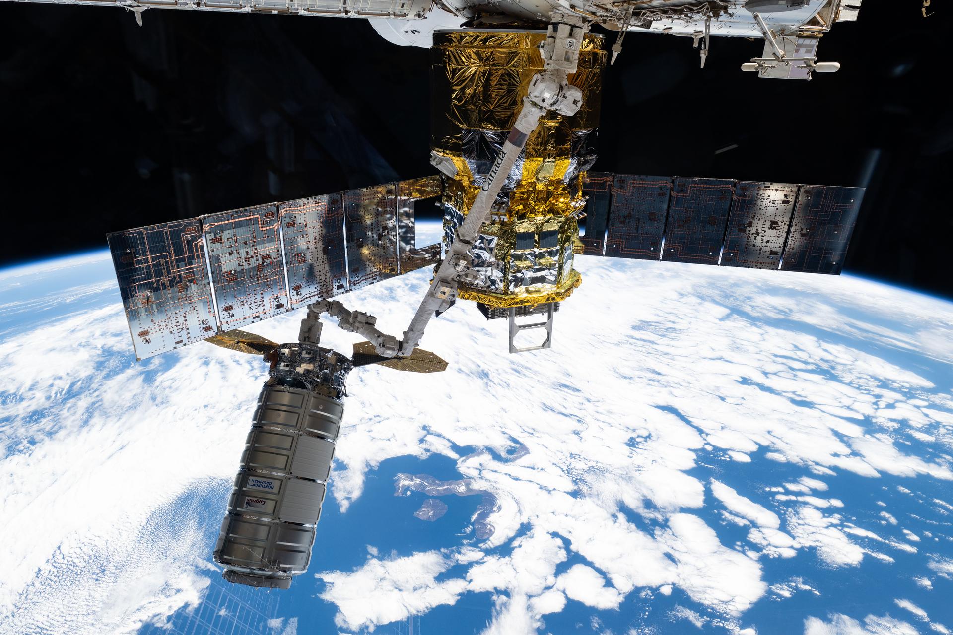 iss073e1196807 (Nov. 25, 2025) --- Northrop Grumman's Cygnus XL cargo craft is pictured in the grips of the International Space Station Canadarm2 robotic arm. Cygnus XL had been temporarily released from its Earth-facing port on the Unity module to make room for the Soyuz MS-28 crew spacecraft, which was scheduled to arrive the next day and dock to the Rassvet module. JAXA's (Japan Aerospace Exploration Agency) HTV-X1 cargo craft, with its solar arrays deployed, is seen berthed to the Earth-facing port of the Harmony module. The orbital outpost was soaring 263 miles above the Pacific Ocean southwest of Galapagos Islands at the time of this photograph.