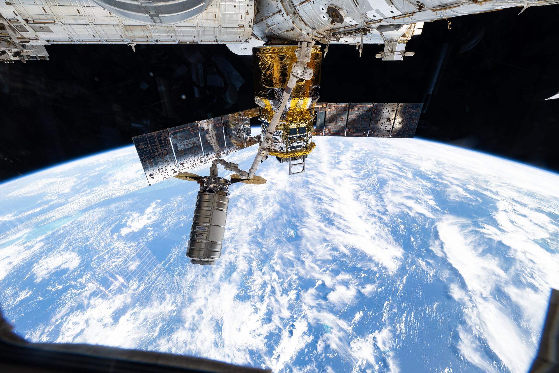 iss073e1196882 (Nov. 25, 2025) --- Northrop Grumman's Cygnus XL cargo craft is pictured in the grips of the International Space Station Canadarm2 robotic arm. Cygnus XL had been temporarily released from its Earth-facing port on the Unity module to make room for the Soyuz MS-28 crew spacecraft, which was scheduled to arrive the next day and dock to the Rassvet module. JAXA's (Japan Aerospace Exploration Agency) HTV-X1 cargo craft, with its solar arrays deployed, is seen berthed to the Earth-facing port of the Harmony module. The orbital outpost was soaring 262 miles above the Caribbean Sea east of the Yucatan Peninsula.