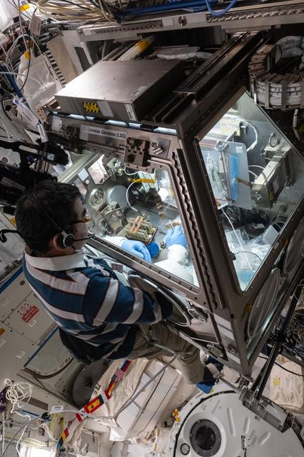 NASA image: JAXA astronaut Kimiya Yui conducts a microbiology research experiment