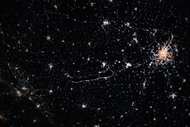 NASA image: The city lights of Budapest dominate the nightscape of Hungary