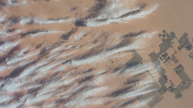 NASA image: Center-pivot irrigation systems in southern Egypt