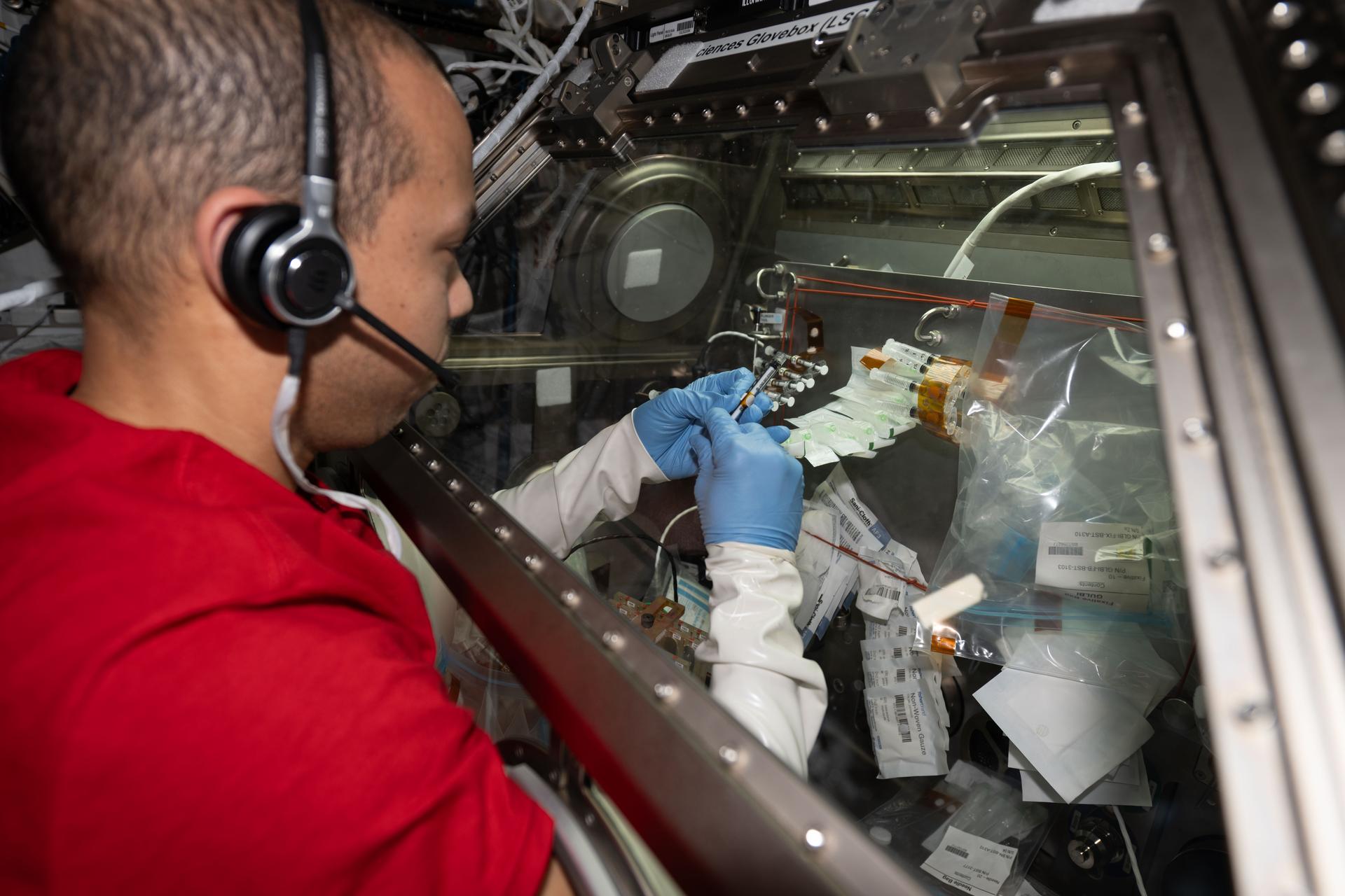 NASA astronaut and Expedition 74 Flight Engineer Chris Williams processes microbe samples inside the Destiny laboratory module’s Microgravity Science Glovebox aboard the International Space Station. Williams was investigating the use of ultraviolet light as a method to disinfect spacecraft surfaces, inhibit microbial growth, and protect both crew health and space hardware.