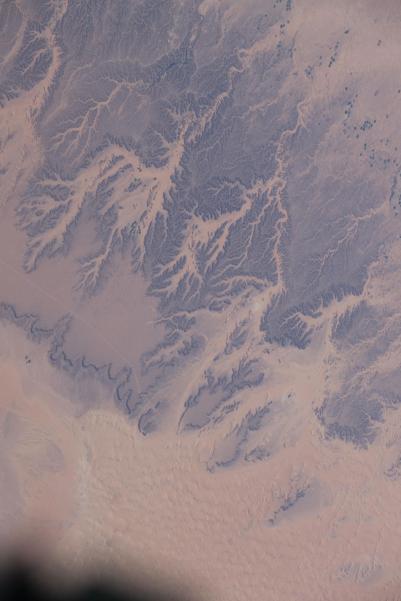 Wadis, dry riverbeds or channels that carry water only during the rainy season, are pictured in the northern Sahara Desert region of Algeria. The International Space Station was orbiting 260 miles above the North African nation when this photograph was taken.