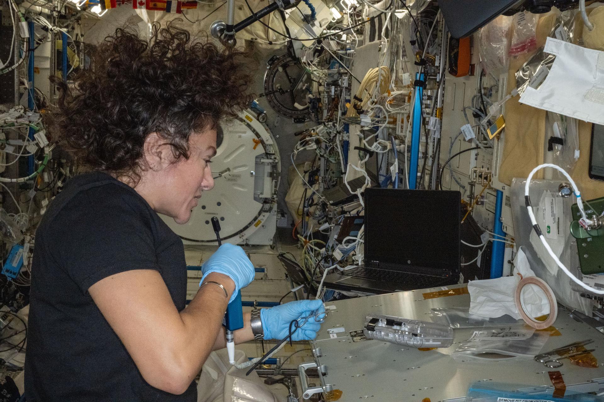 NASA astronaut and Expedition 74 flight engineer Jessica Meir works inside the International Space Station’s Kibo laboratory, configuring hardware for the StarSteel materials research experiment. Meir was preparing to investigate stainless‑steel spheres produced inside Kibo’s Electrostatic Levitation Furnace to observe and understand metallic solidification behavior in microgravity, potentially benefiting both Earth-based and space-based metallurgy and manufacturing techniques.