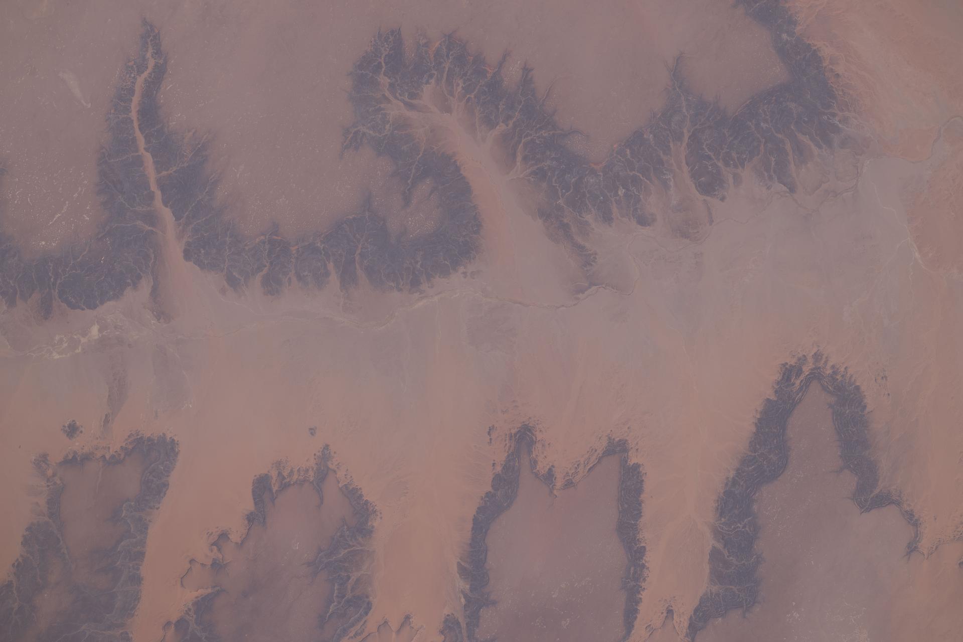 A portion of the Sahara in the Agadez Region of northeastern Niger is pictured from the International Space Station as it orbited 264 miles above the African continent. Despite the hyper-arid conditions, a groundwater-fed oasis system supports settlements and small-scale agriculture in a narrow north–south corridor of the desert nation.