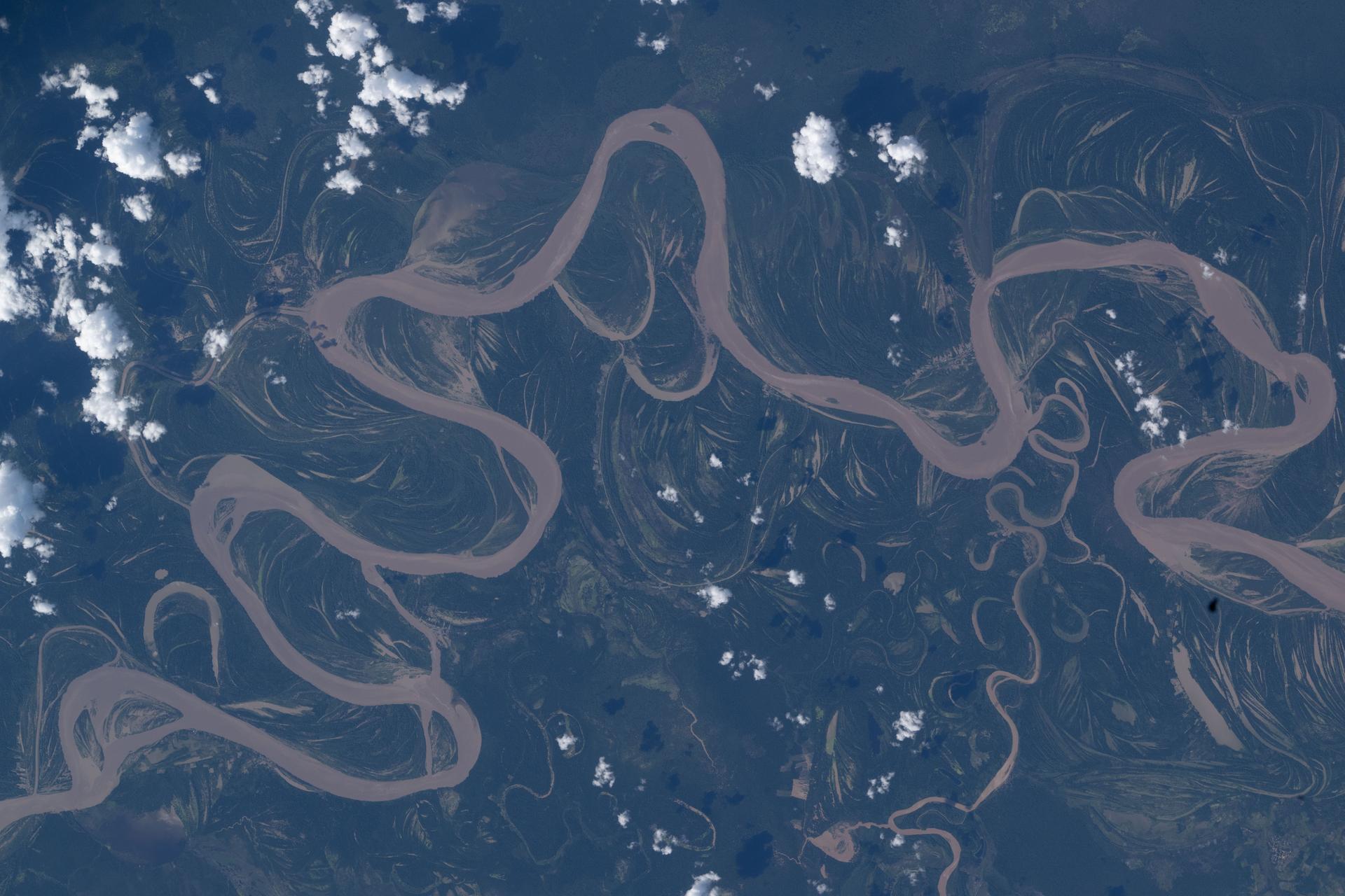 The Ucayali River in central Peru—home to a wide array of wildlife including dolphins, manatees, reptiles, and birds—is a major tributary and main headstream of the Amazon River. The International Space Station was orbiting 264 miles above the lowland Amazon rainforest when this photograph was taken.