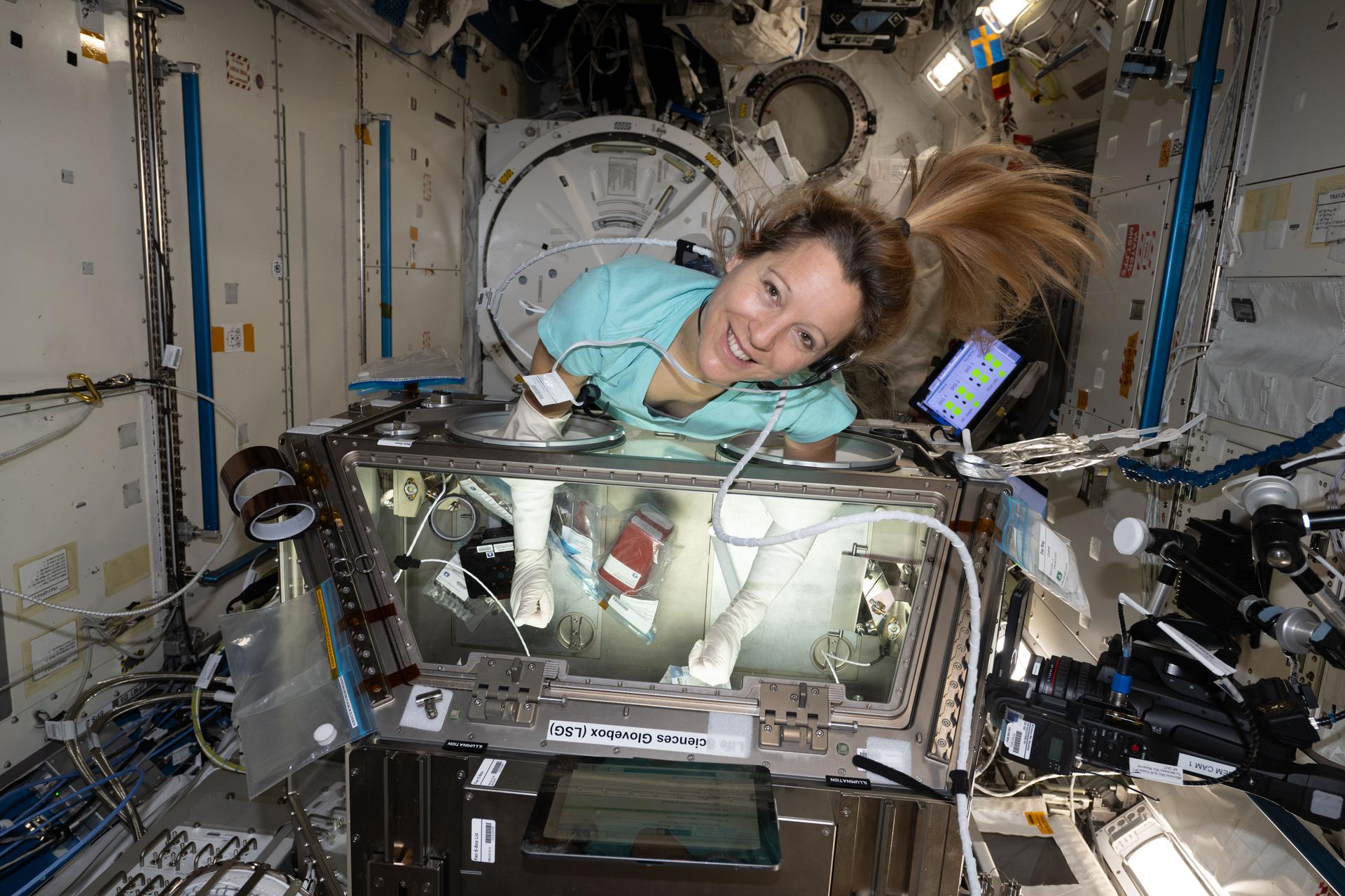 iss074e0503523 (April 21, 2026) --- ESA (European Space Agency) astronaut and Expedition 74 flight engineer Sophie Adenot works inside the Kibo laboratory module’s Life Science Glovebox, processing blood stem cell samples to learn how to produce larger quantities of clinical‑grade stem cells in space. Results from this biotechnology investigation may lead to improved stem‑cell qualities, potentially enhancing treatments for blood diseases and cancer while also expanding commercial opportunities in space. Credit: NASA/Jessica Meir