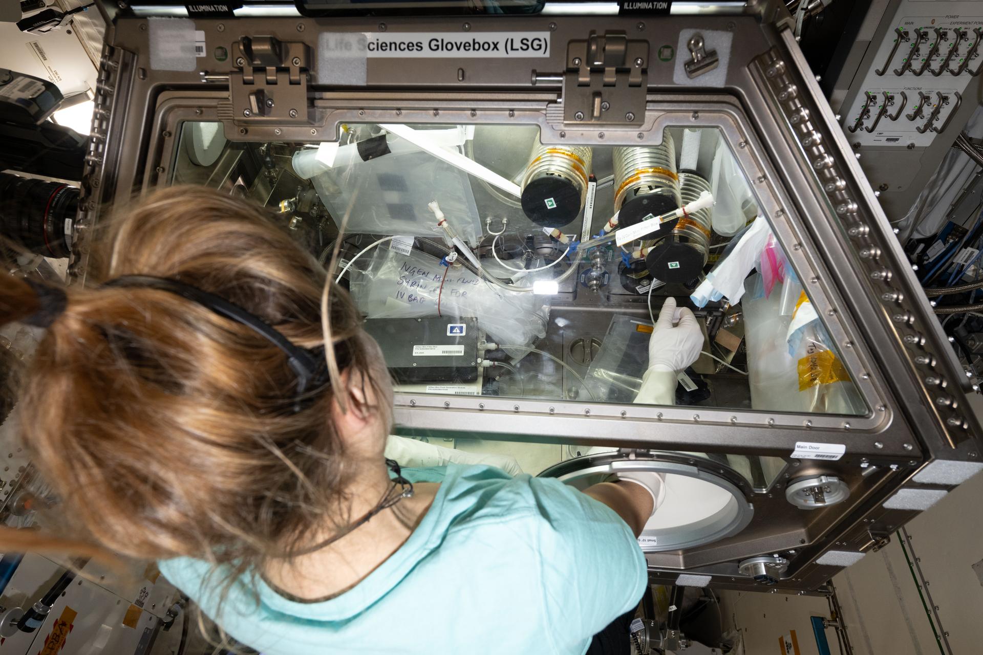 An over-the-shoulder view of ESA (European Space Agency) astronaut and Expedition 74 flight engineer Sophie Adenot working inside the Kibo laboratory module's Life Science Glovebox on the Intravenous Fluid Generation – Mini (IVGen Mini) technology demonstration. Adenot was exploring ways to use the International Space Station’s potable water to produce medical-grade intra-venous fluids, or saline solutions, to treat medical conditions in space. IVGen Mini seeks to re-duce a crew’s dependence on cargo missions and avoid expiration of medical supplies on a spacecraft.