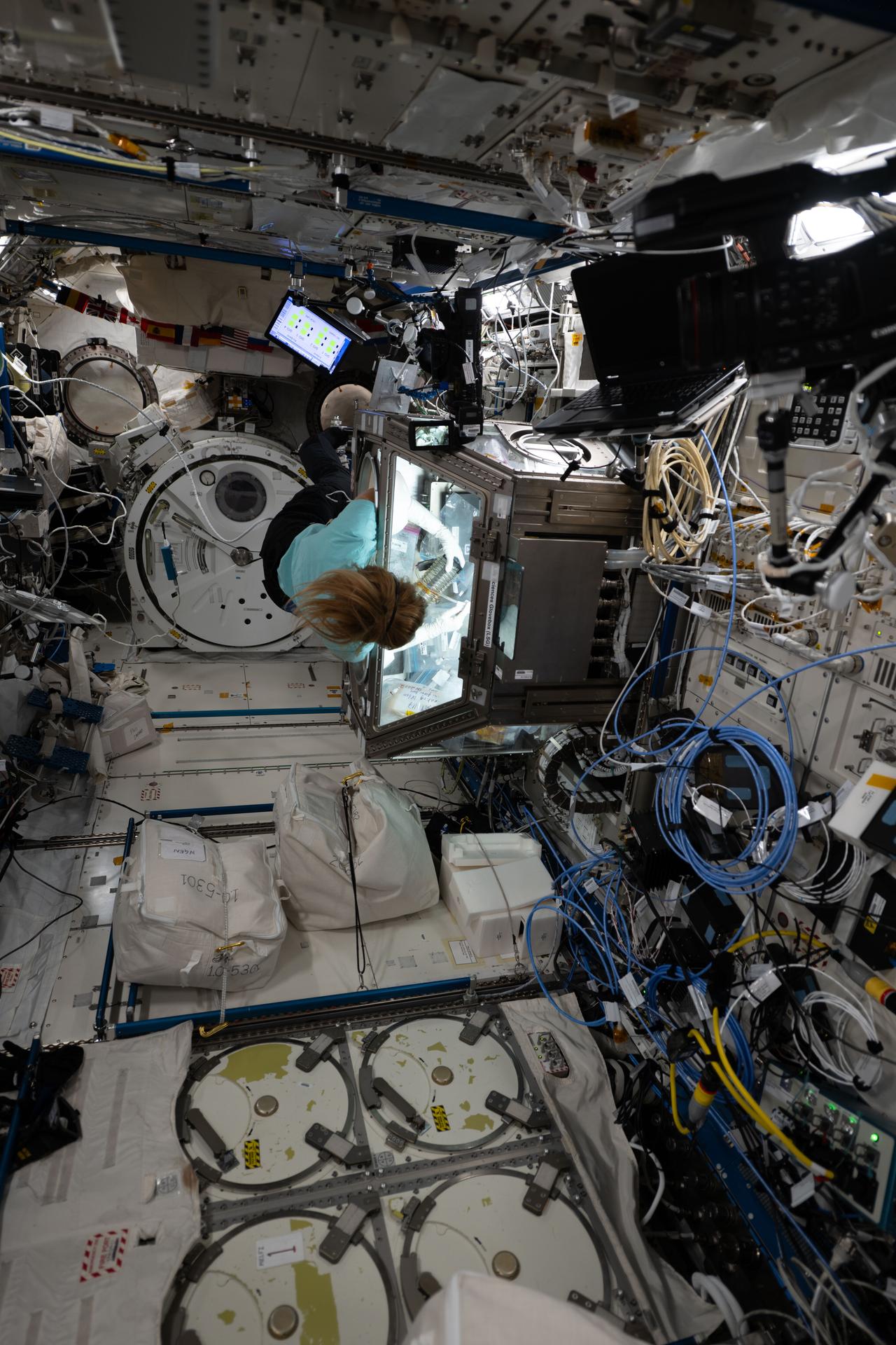 ESA (European Space Agency) astronaut and Expedition 74 flight engineer Sophie Adenot works inside the Kibo laboratory module's Life Science Glovebox. Adenot was exploring ways to use the International Space Station’s potable water to produce medical grade intravenous fluids, or saline solutions, to treat medical conditions in space. The Intravenous Fluid Generation – Mini technology demonstration seeks to reduce a crew’s dependence on cargo missions and avoid expiration of medical supplies on a spacecraft.