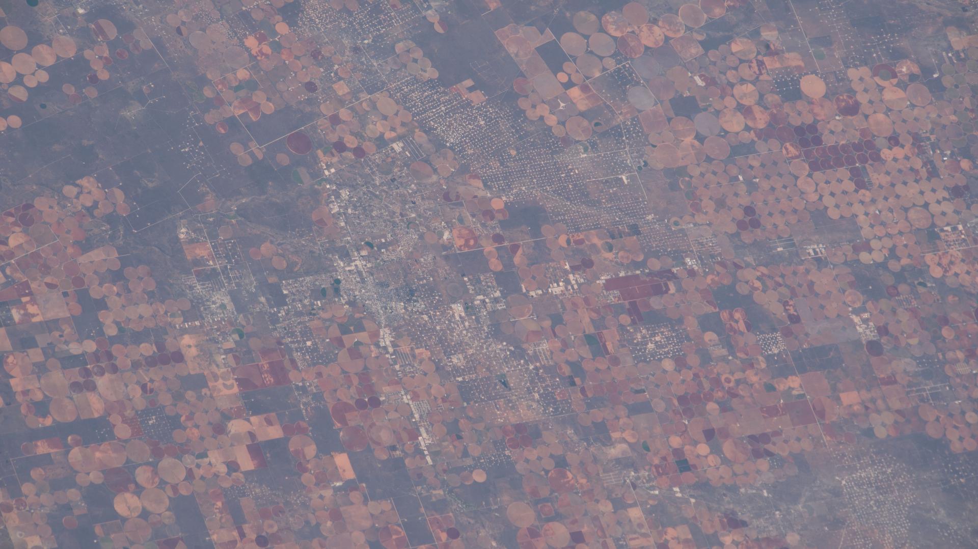 iss074e0603632 (May 16, 2026) --- Industrial-scale farming and oil production exist side-by-side and compete for land and water resources in western Texas. The crop circles are center-pivot irrigation systems used to cultivate cotton, sorghum, wheat, hay, and corn. The grid set against the circular farms is a dense network of well sites, pipelines, and roads that support the petroleum infrastructure. The International Space Station was orbiting 259 miles above the Texas–Oklahoma border at the time of this photograph. Credit: NASA