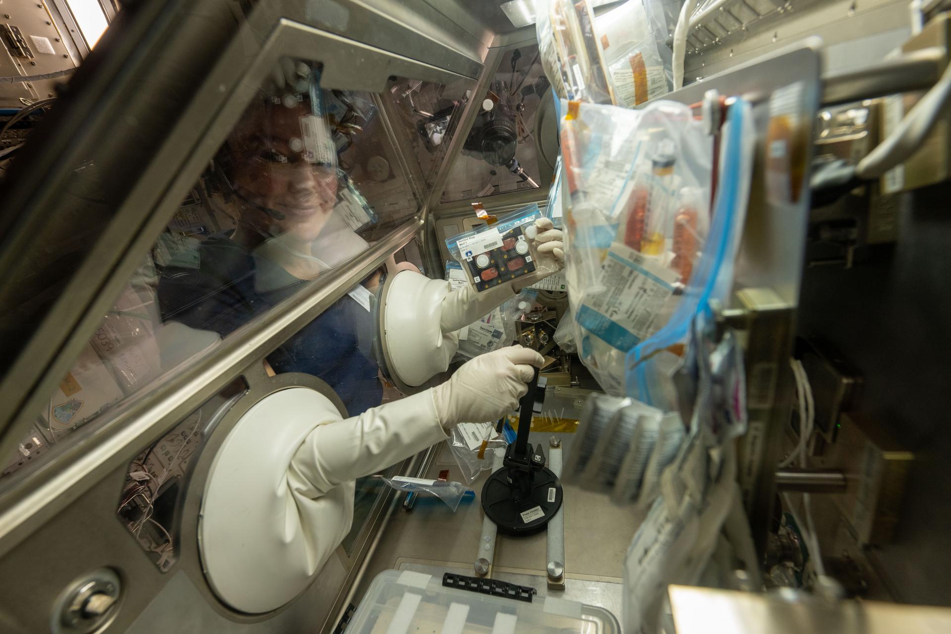 NASA astronaut and Expedition 74 flight engineer Jessica Meir processes stem cell samples inside the Life Science Glovebox aboard the International Space Station’s Kibo laboratory module. Meir nourished the stem cells being incubated to learn how to manufacture space-designed therapies to treat cancer and blood conditions.