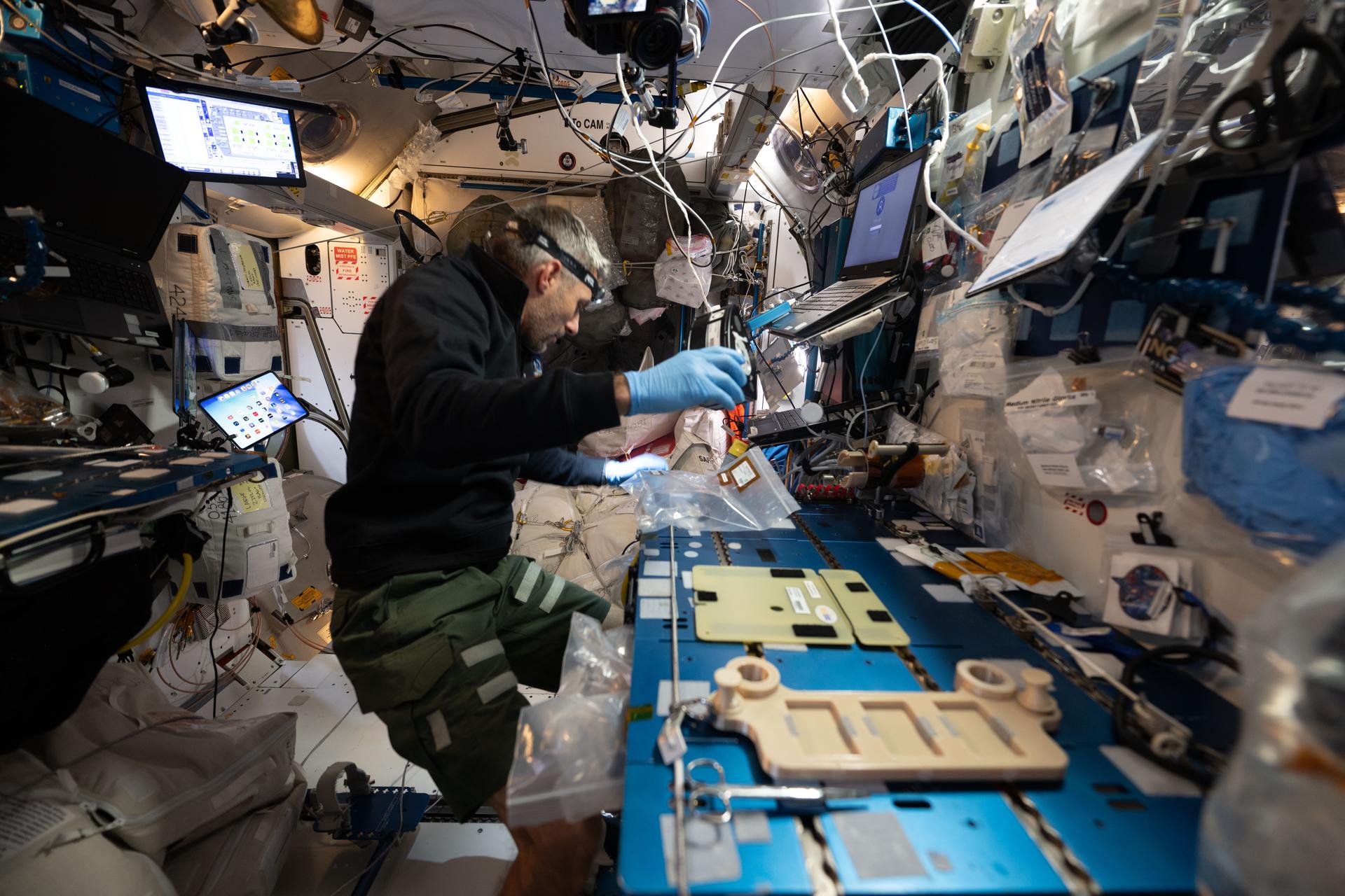 NASA astronaut and Expedition 75 flight engineer Luke Delaney activates a new space botany investigation inside the International Space Station’s Harmony module. The Multi-use Variable-g Platform-02 Plant-02 (MVP Plant-02) study observes the genetic response of plants growing in microgravity to help advance spacecraft life support systems. MVP Plant-02 was delivered the day before aboard a SpaceX Dragon cargo spacecraft.
