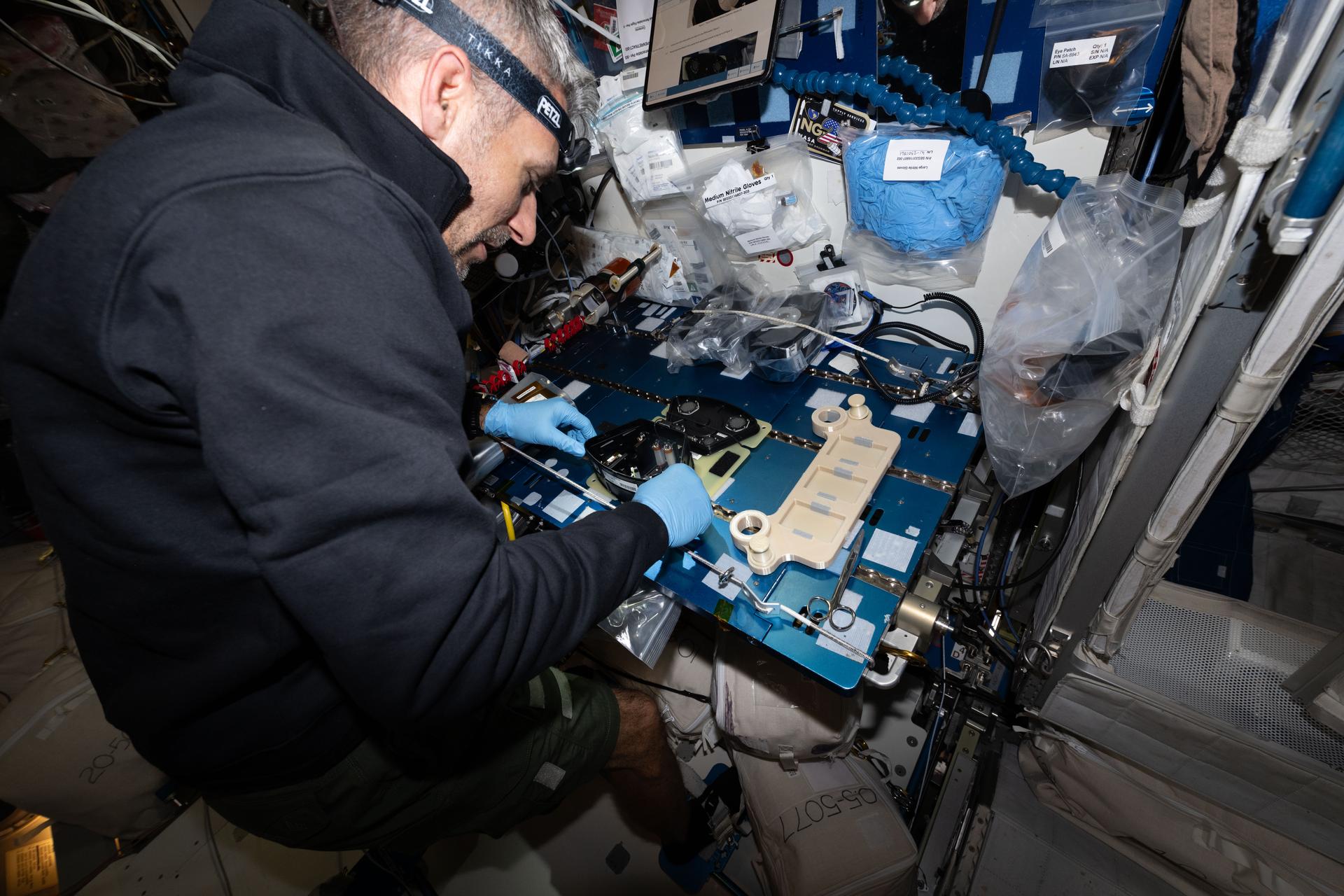 NASA astronaut and Expedition 75 flight engineer Luke Delaney activates a new space botany investigation inside the International Space Station’s Harmony module. The Multi-use Variable-g Platform-02 Plant-02 (MVP Plant-02) study observes the genetic response of plants growing in microgravity to help advance spacecraft life support systems. MVP Plant-02 was delivered the day before aboard a SpaceX Dragon cargo spacecraft.