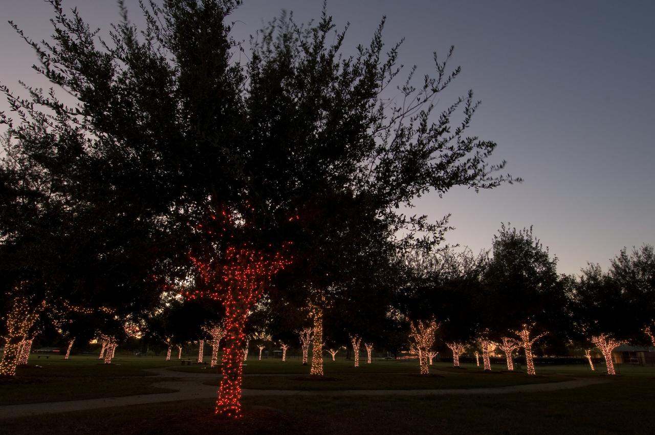 View of Christmas Lights on Memorial Tree Grove at dusk at entrance to JSC.