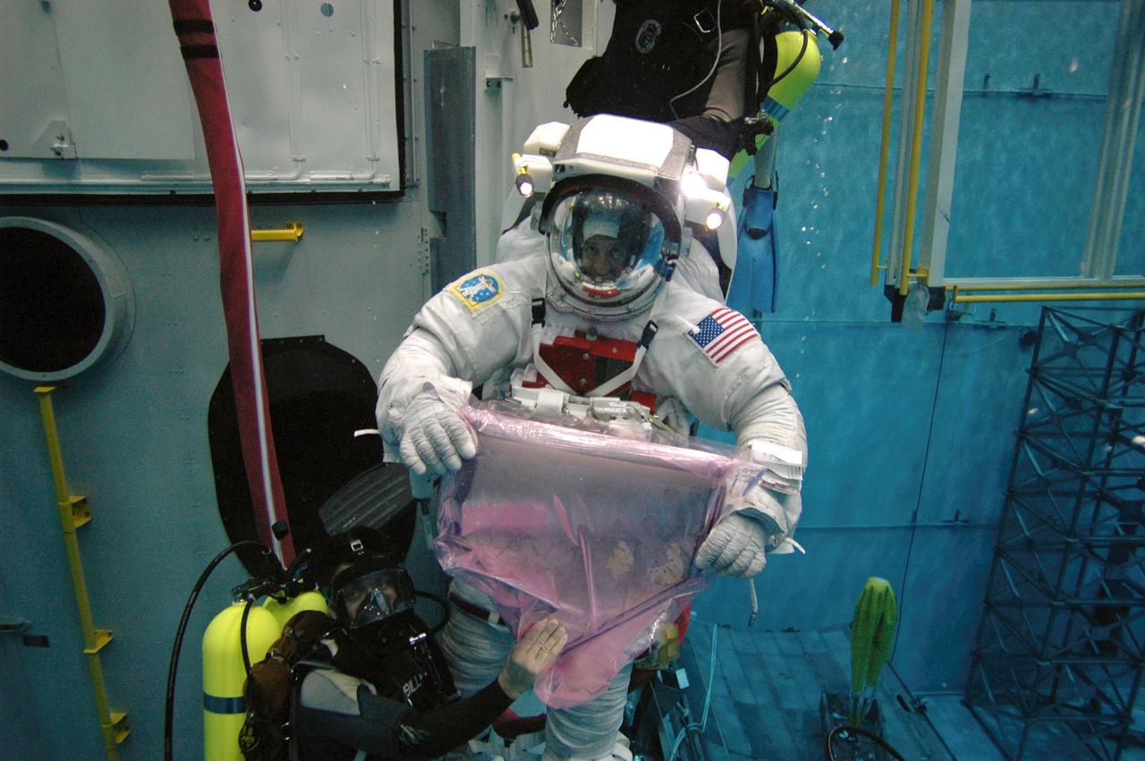 JSC2008-E-096966 (December 2007) --- Astronaut Mike Massimino, STS-125 mission specialist, with home plate from  New York City's Shea Stadium during a break from training in the JSC Neutral Buoyancy Lab. The plate will fly with the STS-125 crew aboard the Space Shuttle Atlantis. (Photo Credit: NASA)