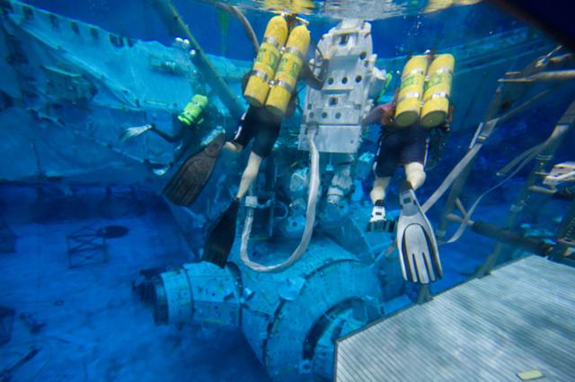NASA image: STS-129 crew members Michael Foreman and Robert Satcher