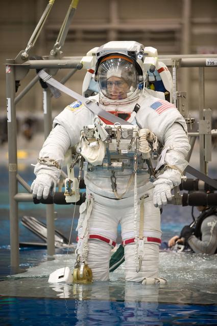 NASA image: STS-132 Preflight Training - Dive with Garret Reisman, Mike Goode and Stephen Bowen 