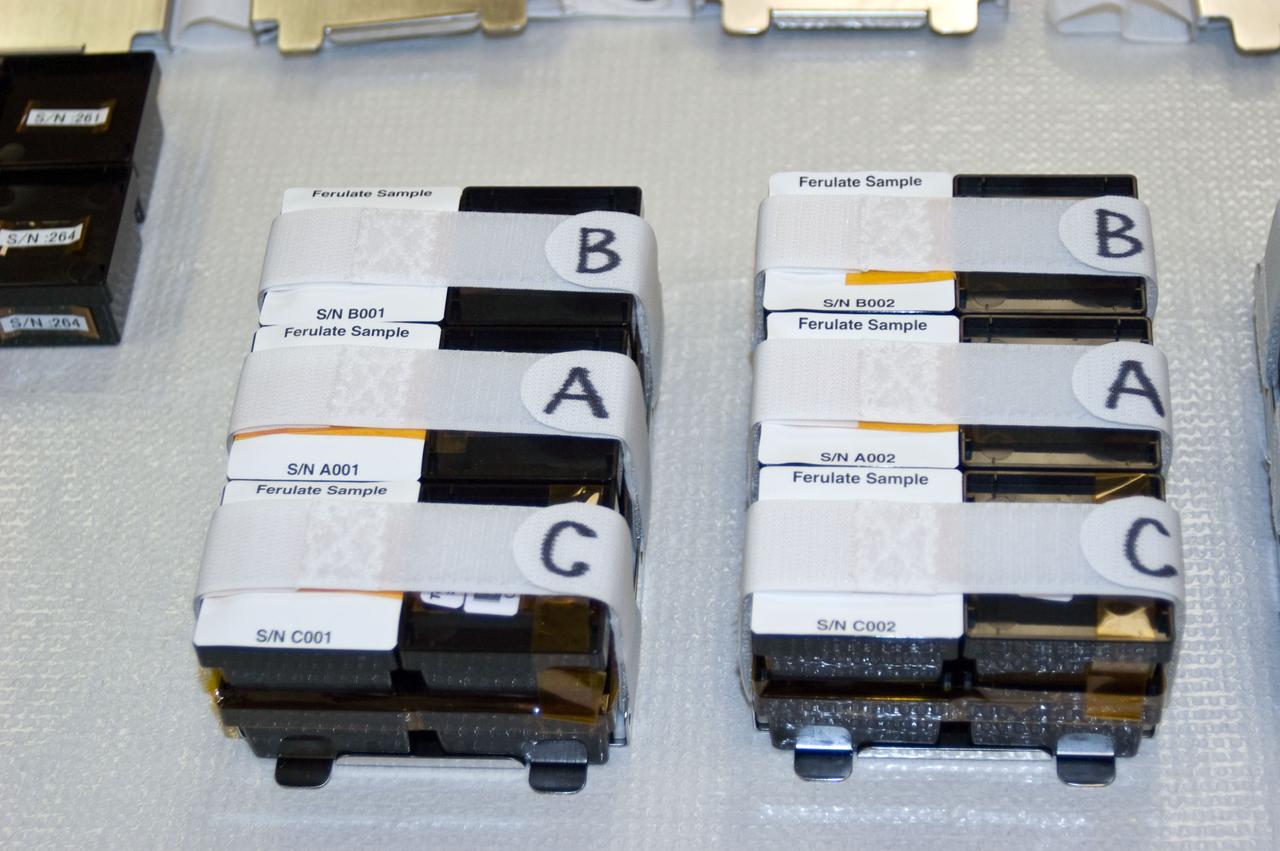 jsc2010e080356 (5/10/2010) --- A preflight photo of the Ferulate Samples installed in the Holders. The Ferulate Experiment tests the hypothesis that microgravity decreases the mechanical strength of cell walls of rice plants by modifying the levels of abscisic acid.