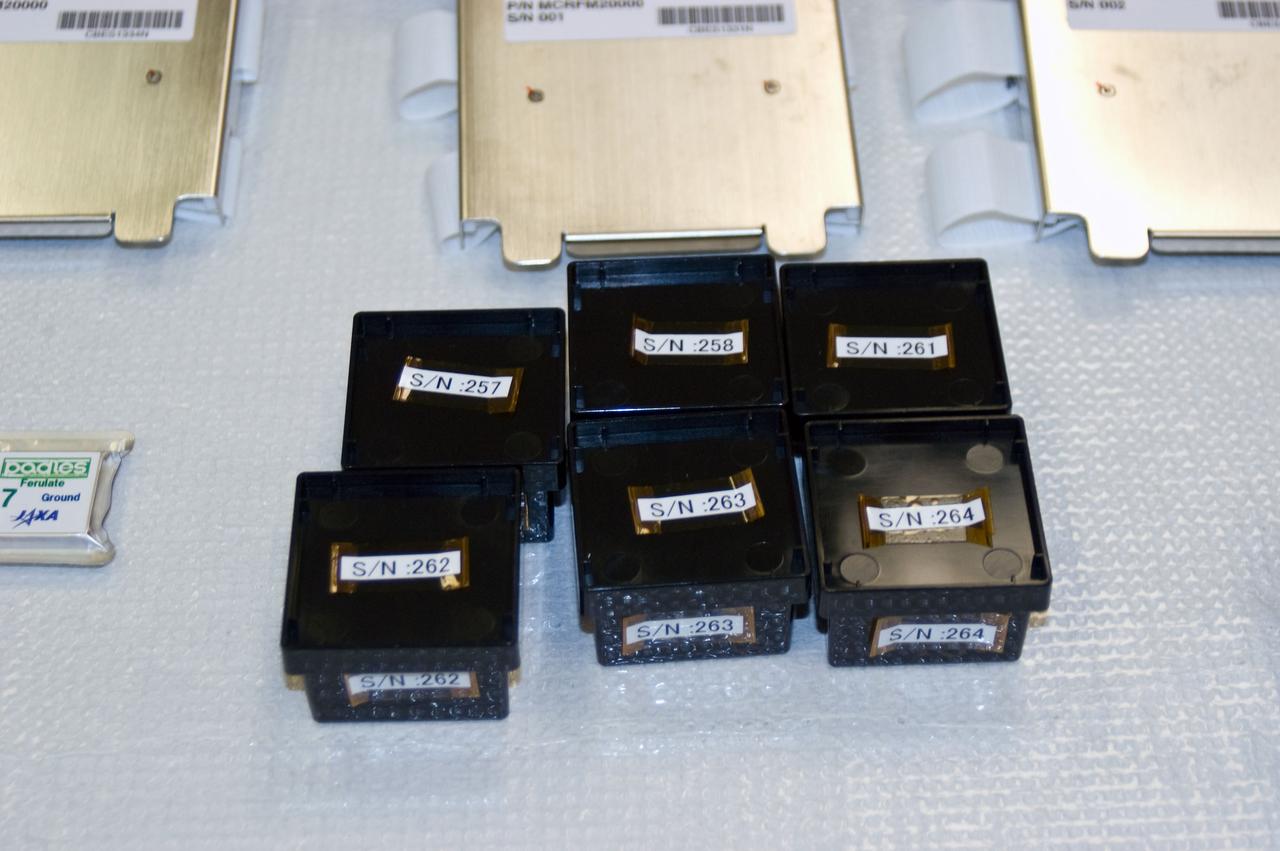 jsc2010e080364 (5/10/2010) --- A preflight photo of the Ferulate Samples. The Ferulate Experiment tests the hypothesis that microgravity decreases the mechanical strength of cell walls of rice plants by modifying the levels of abscisic acid.