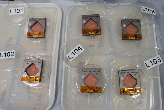 NASA image: STS-132 Middeck Locker MA9L JAXA Coldbag