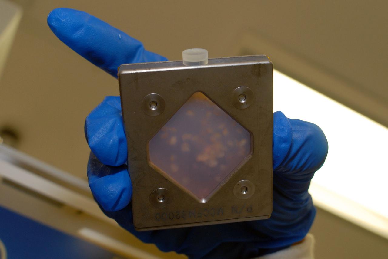 jsc2010e08036p (5/12/2010) --- A preflight image of the Fish Scales Culture Chambers with samples inside. The Osteoclastic and Osteoblastic Responses to Microgravity Using Goldfish Scales  (Fish Scales) investigation will examine regenerating scales collected from anesthetized goldfish in microgravity, the results will be compared with ground controls.