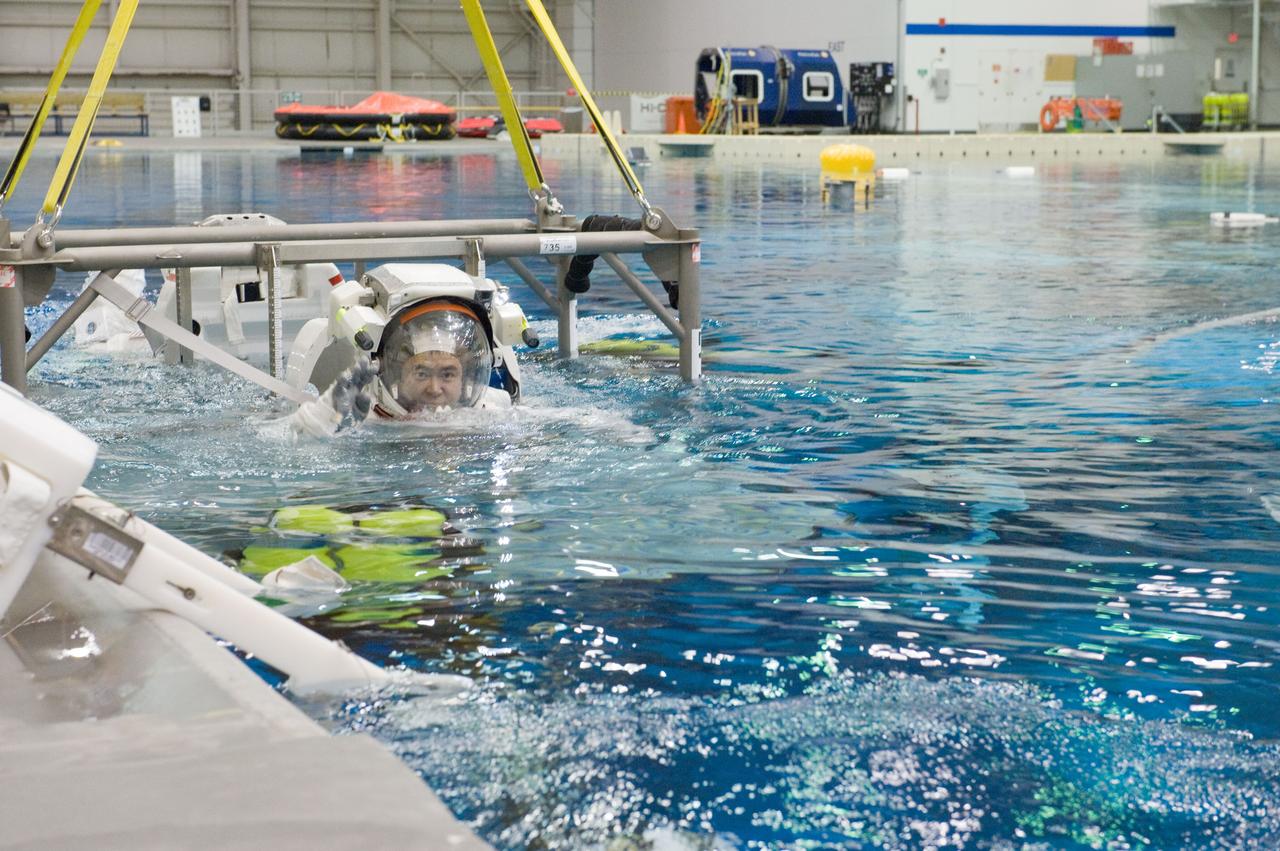 PHOTO DATE:  03/15/12 LOCATION:   NBL SUBJECT: Expedition 32 (Soyuz 31) crew members Aki Hoshide and Sunita Williams during EVA TL RUN at the NBL PHOTOGRAPHER:Geeseman