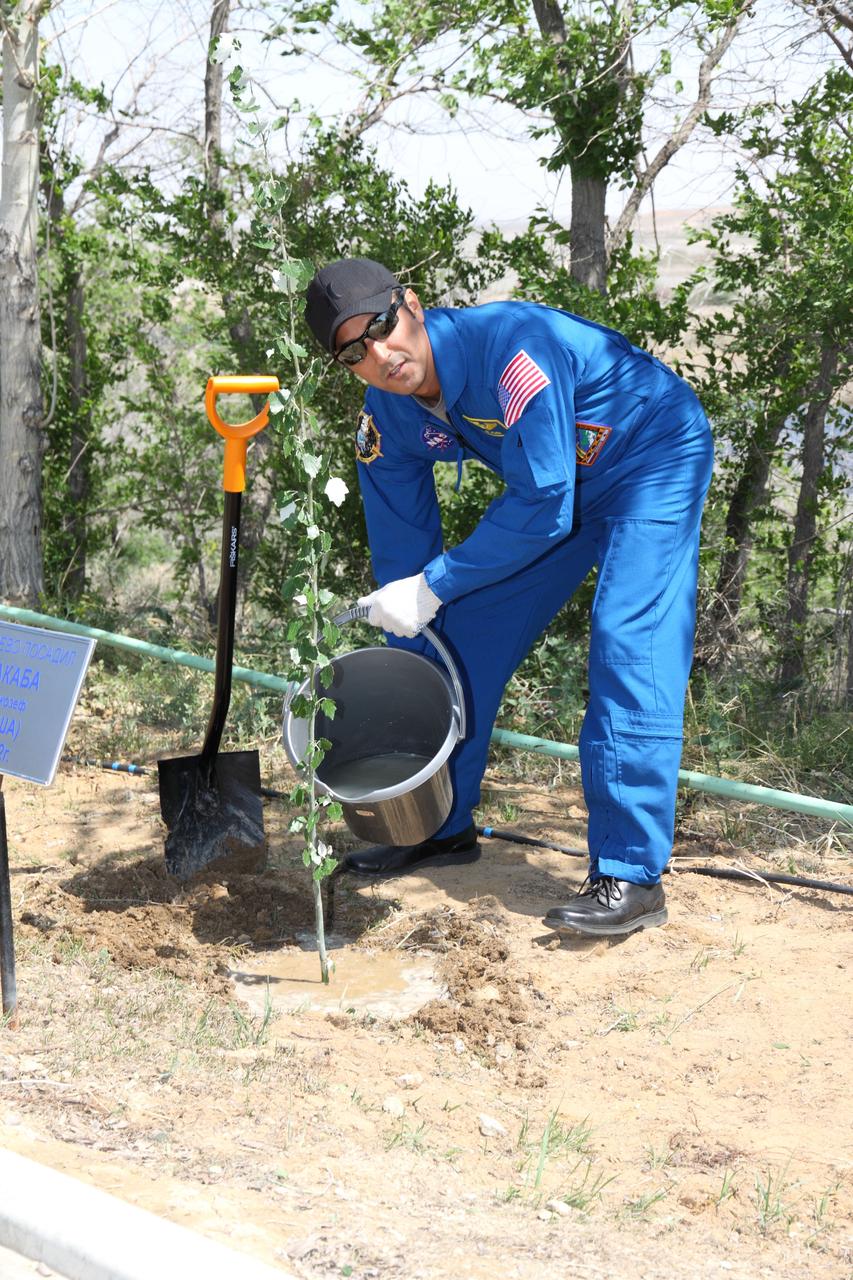 Behind the Cosmonaut Hotel crew quarters in Baikonur, Kazakhstan, Expedition 31/32 Flight Engineer Joe Acaba of NASA waters a tree he planted in his name in a traditional ceremony May 10, 2012 as he took a break from training for his launch on the Soyuz TMA-04M spacecraft on May 15 from the Baikonur Cosmodrome with Soyuz Commander Gennady Padalka and Flight Engineer Sergei Revin to begin a four-month mission on the International Space Station.  NASA/Victor Zelentsov 