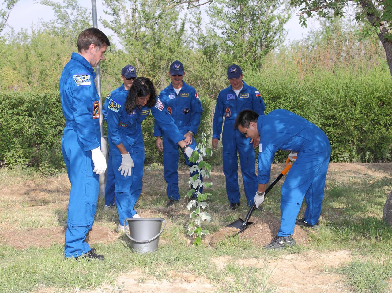 Assisted by NASA Flight Engineer Sunita Williams, Expedition 32/33 Flight Engineer Aki Hoshide of the Japan Aerospace Exploration Agency plants a tree in his name behind the Cosmonaut Hotel crew quarters in Baikonur, Kazakhstan July 9, 2012 as part of the traditional ceremonies leading to their launch July 15 to the International Space Station in the Soyuz TMA-05M spacecraft. Joining Williams and Hoshide are Soyuz Commander Yuri Malenchenko, NASA backup Flight Engineer Tom Marshburn, backup Flight Engineer Chris Hadfield of the Canadian Space Agency and backup Soyuz Commander Roman Romanenko.  NASA/Victor Zelentsov 