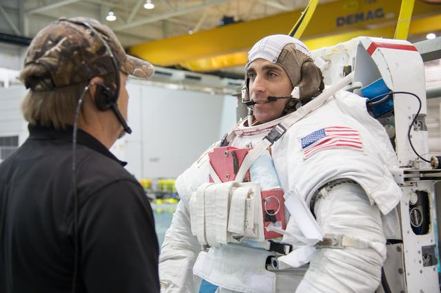 NASA image: jsc2012e238146