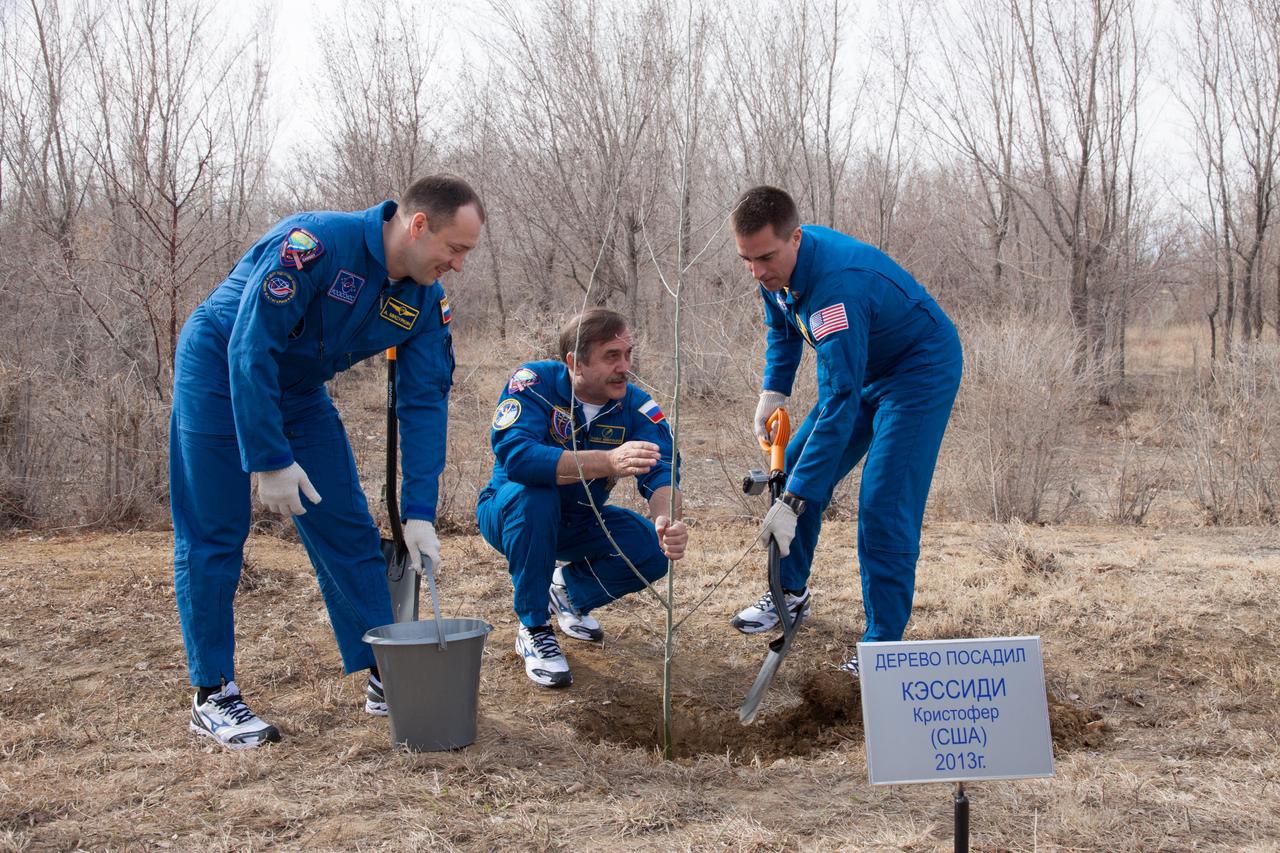 Behind the Cosmonaut Hotel crew quarters in Baikonur, Kazakhstan, Expedition 35-36 Flight Engineer Chris Cassidy of NASA (right) plants a tree bearing his name in a traditional ceremony March 21, assisted by his crewmates, Flight Engineer Alexander Misurkin (left) and Soyuz Commander Pavel Vinogradov (center). The three crewmembers are training for launch to the International Space Station March 29, Kazakh time, in their Soyuz TMA-08M spacecraft from the Baikonur Cosmodrome for a 5 ½ month mission.   NASA/Victor Zelentsov 