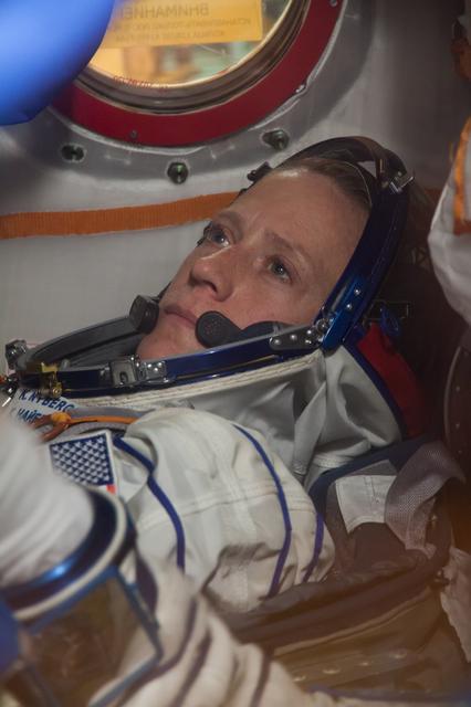 NASA image: jsc2013e033636