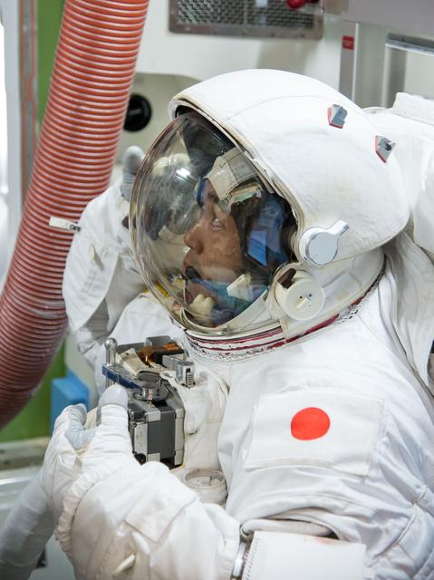 NASA image: jsc2013e077000