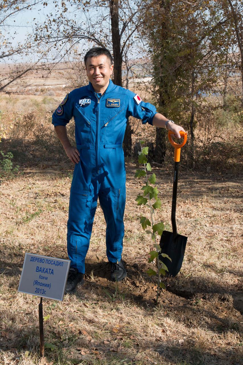 Behind the Cosmonaut Hotel crew quarters in Baikonur, Kazakhstan, Expedition 38/39 Flight Engineer Koichi Wakata of the Japan Aerospace Exploration Agency poses for pictures Nov. 1 after planting a tree in his name I a ceremonial pre-flight tradition. Wakata, Flight Engineer Rick Mastracchio of NASA and Soyuz Commander Mikhail Tyurin are preparing for their launch Nov. 7, Kazakh time from the Baikonur Cosmodrome aboard the Soyuz TMA-11M spacecraft to begin a six-month mission on the International Space Station.  NASA/Victor Zelentsov 