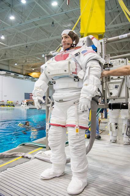 NASA image: jsc2013e098987