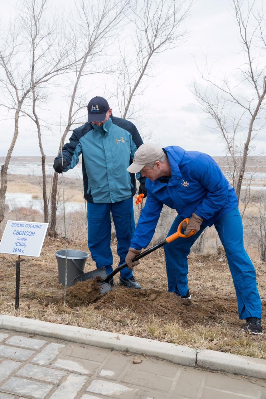 19-13-53-14:  Assisted by backup crewmember Barry Wilmore of NASA (left), Expedition 39/40 Flight Engineer Steve Swanson of NASA (right) plants a tree bearing his name behind the Cosmonaut Hotel crew quarters in Baikonur, Kazakhstan March 19 in a traditional ceremony. Swanson, Soyuz Commander Alexander Skvortsov of the Russian Federal Space Agency (Roscosmos) and Flight Engineer Oleg Artemyev of Roscosmos are scheduled to launch to the International Space Station March 26, Kazakh time, in the Soyuz TMA-12M spacecraft for a six-month mission.  NASA/Victor Zelentsov 