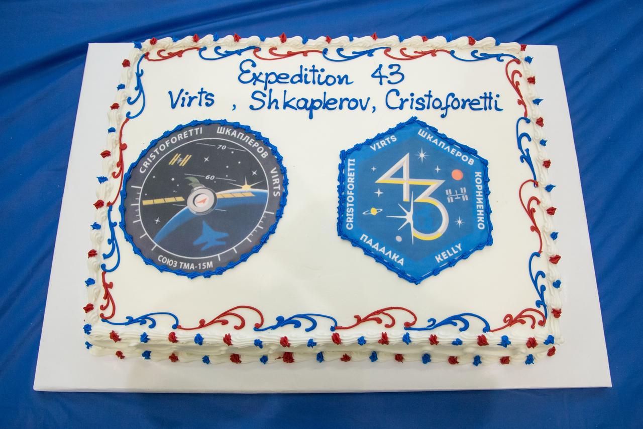 PHOTO DATE: 09 July 2014 LOCATION: Bldg. 5 - Space Station Training Facility High Bay SUBJECT: Expedition 42/43 cake cutting ceremony Soyuz 40(Soyuz 40(Alexander Samokutyaev, Yelena Serova, Barry Wilmore) & Soyuz 41(Anton Shkaplerov, Samantha Cristoforetti, Terry Virts) with ISS trainers. PHOTOGRAPHER: Mark Sowa