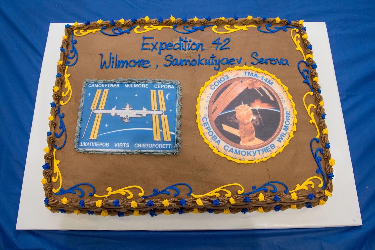 PHOTO DATE: 09 July 2014 LOCATION: Bldg. 5 - Space Station Training Facility High Bay SUBJECT: Expedition 42/43 cake cutting ceremony Soyuz 40(Soyuz 40(Alexander Samokutyaev, Yelena Serova, Barry Wilmore) & Soyuz 41(Anton Shkaplerov, Samantha Cristoforetti, Terry Virts) with ISS trainers. PHOTOGRAPHER: Mark Sowa