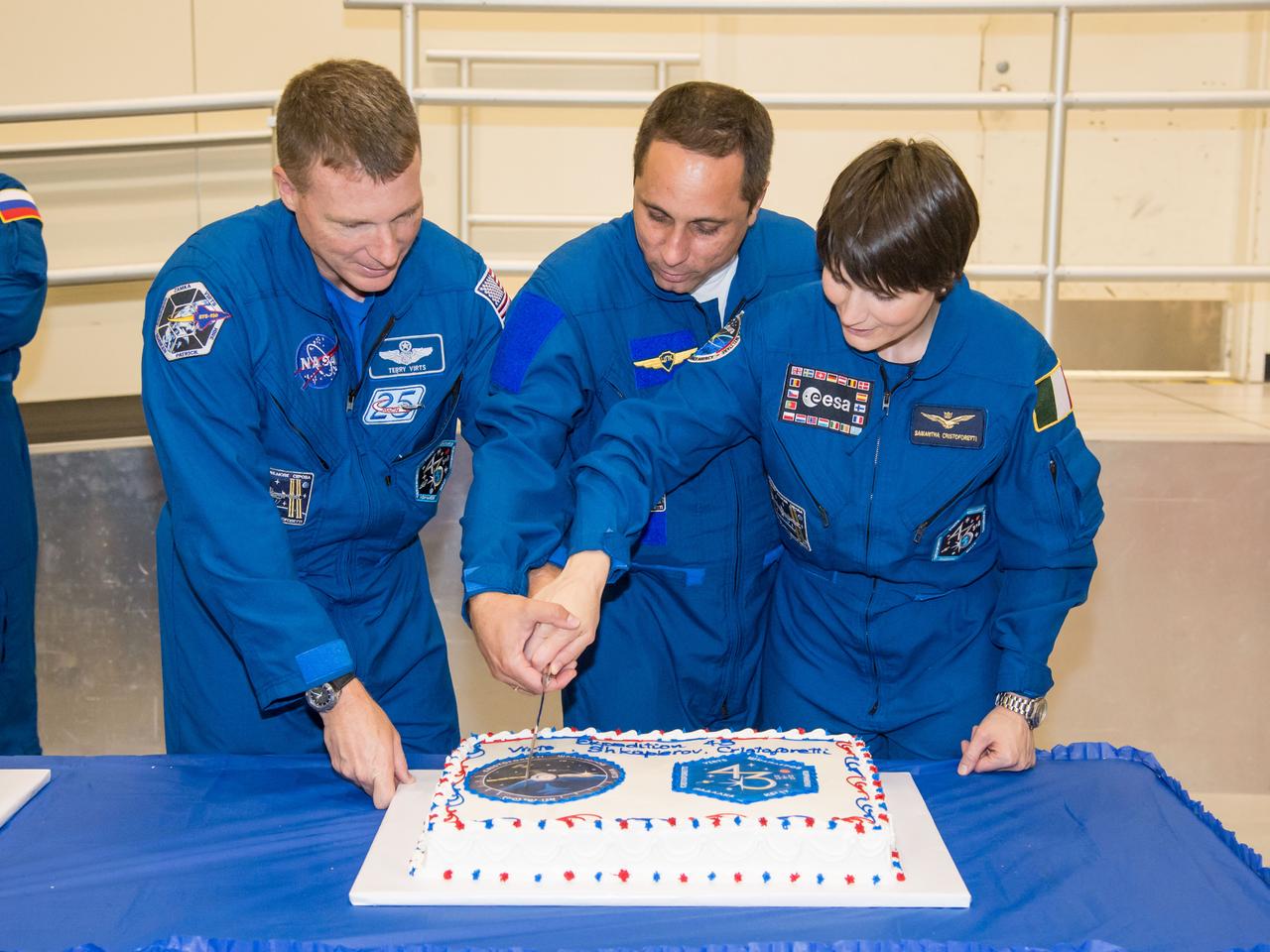 PHOTO DATE: 09 July 2014 LOCATION: Bldg. 5 - Space Station Training Facility High Bay SUBJECT:  Expedition 42/43 cake cutting ceremony Soyuz 40(Soyuz 40(Alexander Samokutyaev, Yelena Serova, Barry Wilmore) & Soyuz 41(Anton Shkaplerov, Samantha Cristoforetti, Terry Virts) with ISS trainers. PHOTOGRAPHER: Mark Sowa