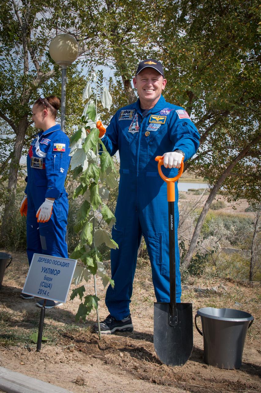 17-14-26-12-2:  (17 Sept. 2014) --- Expedition 41 Flight Engineer Barry Wilmore of NASA flashes a smile Sept. 17 as he plants a tree at a plot bearing his name behind the Cosmonaut Hotel crew quarters in Baikonur, Kazakhstan during traditional ceremonies. Alongside Wilmore is Flight Engineer Elena Serova of the Russian Federal Space Agency (Roscosmos).  Wilmore, Serova and Soyuz Commander Alexander Samokutyaev of Roscosmos are scheduled to launch from the Baikonur Cosmodrome Sept. 26, Kazakh time, in the Soyuz TMA-14M spacecraft for a 5 ½ month mission on the International Space Station. Serova will become the fourth Russian woman to fly in space and the first Russian woman to live and work on the station. Photo credit:  NASA/Victor Zelentsov 