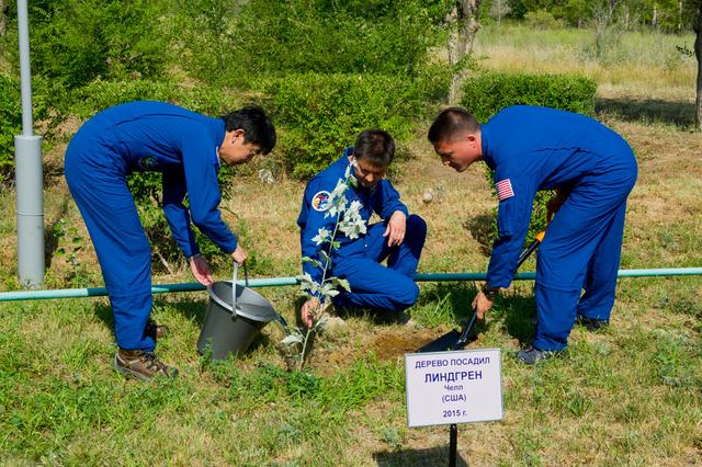 3850:  At the Cosmonaut Hotel crew quarters in Baikonur, Kazakhstan, Expedition 44 prime crewmember Kjell Lindgren of NASA (right) plants a tree in his name in a traditional pre-launch ceremony July 15. Assisting are crewmates Kimiya Yui of the Japan Aerospace Exploration Agency (left) and Oleg Kononenko of the Russian Federal Space Agency (Roscosmos, center), Yui, Kononenko and Lindgren will launch July 23, Kazakh time on the Soyuz TMA-17M spacecraft from the Baikonur Cosmodrome for a five-month mission on the International Space Station.  Credit: Gagarin Cosmonaut Training Center 