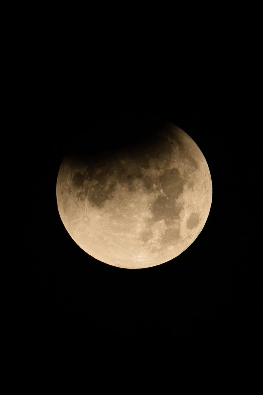jsc2018e003241 (Jan. 31, 2018) --- The early stage of the lunar eclipse "Blood Moon" is photographed from the Johnson Space Center in Houston, Texas. Credit: NASA/Josh Valcarcel