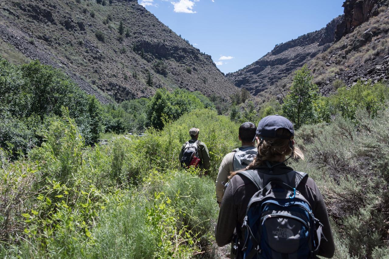 jsc2018e060209 (06/19/2018) --- 2017 NASA astronaut candidates during earth and planetary science training in Rio Grande del Norte National Monument Upper Gorge Area near Questa, N.M. Photo Credit: (NASA/Norah Moran)