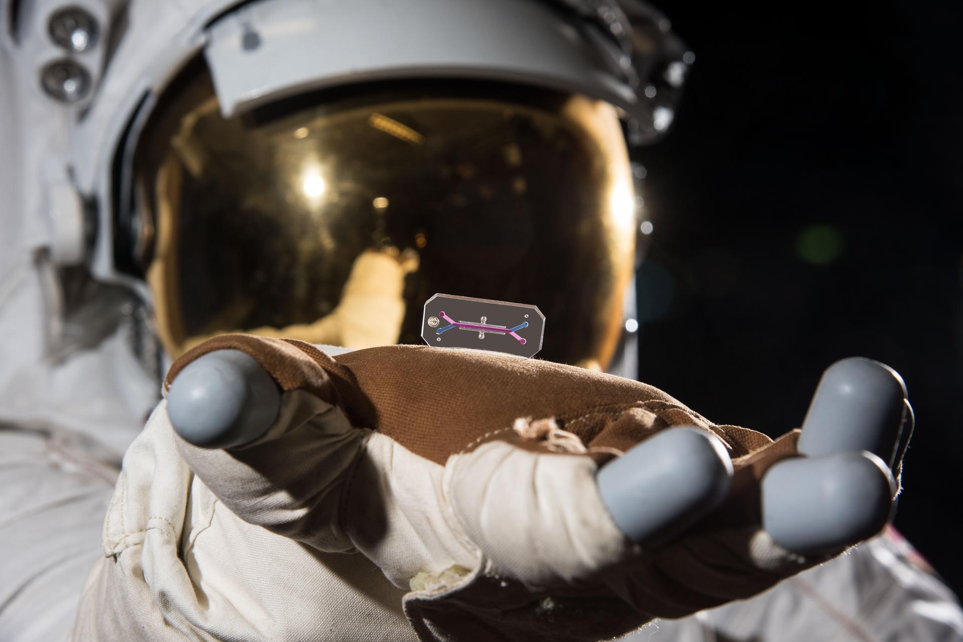 PHOTO DATE: July 06, 2018 LOCATION: Bldg. 2 Lobby SUBJECT: NIH Tissue Chip. PHOTOGRAPHER: Josh Valcarcel