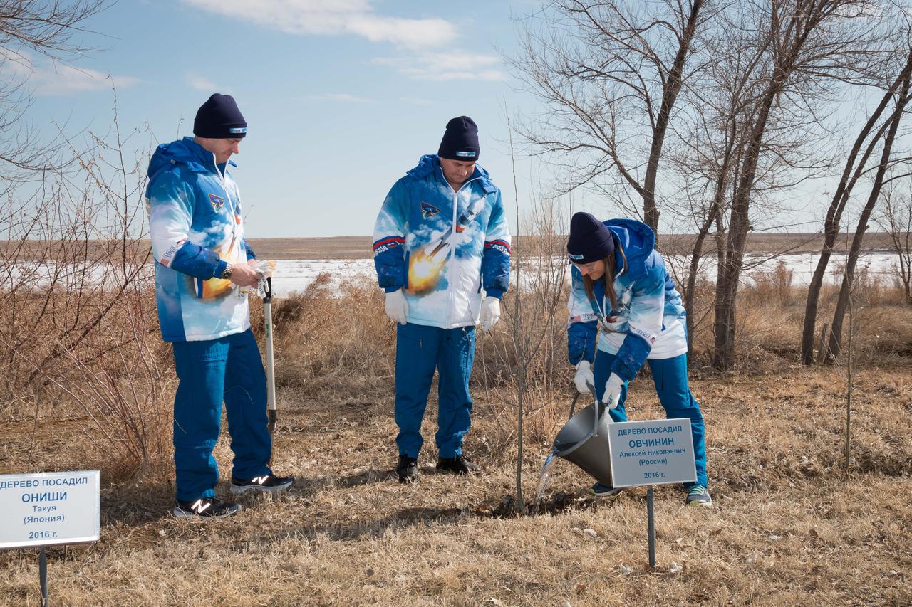 At the Cosmonaut Hotel crew quarters in Baikonur, Kazakhstan, Expedition 59 crewmember Christina Koch of NASA (right) waters a tree March 7 originally planted last October by crewmate Alexey Ovchinin (center). Ovchinin and crewmate Nick Hague of NASA (left) launched together last October 11, but their flight was cut short two minutes after launch by an abort triggered by a first-stage booster rocket separation problem. They are set to launch again March 14, U.S. time, this time with Koch on the Soyuz MS-12 spacecraft from the Baikonur Cosmodrome for a six-and-a-half month mission on the International Space Station...NASA/Victor Zelentsov.