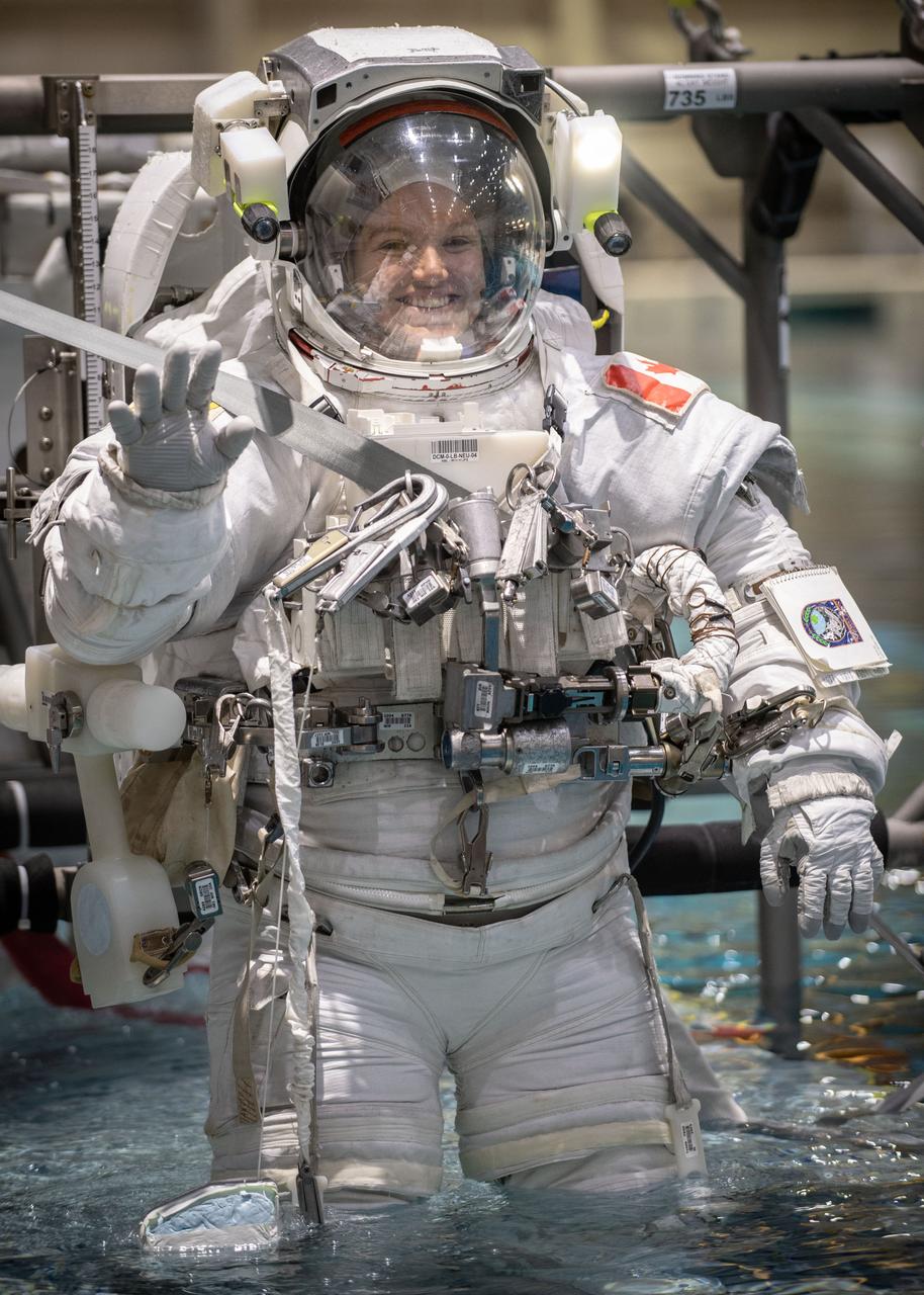 jsc2019e030049 (05-22-19) --- Canadian Space Agency astronaut candidate Jennifer Sidey-Gibbons is lowered into the training pool for spacewalk training at NASA Johnson Space Center’s Neutral Buoyancy Laboratory in Houston. Photo Credit: (NASA/David DeHoyos)