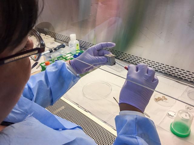 jsc2019e041779 (7/25/2019) --- A view of Dr. Josephine Allen assembling the KEU-RO experiment units for STaARS BioScience-3 experiment. The Spaceflight Effects on Vascular Endothelial and Smooth Muscle Cell Process (STaARS BioScience-3) investigation contributes to a greater understanding of cardiovascular disease (CVD) through the study of transcriptomics of vascular cells. Upon return from spaceflight, crew members often display alterations in their cardiovascular systems, similar to those suffering from CVD. The goal of this work is to elucidate the mechanism of vascular cell damage in the space environment by exposing vascular cells to spaceflight.