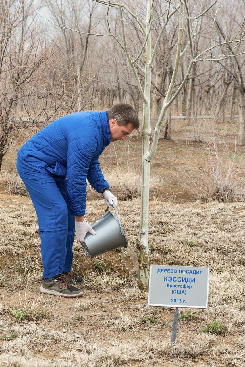 jsc2020e016974 - At the Cosmonaut Hotel crew quarters in Baikonur, Kazakhstan, Expedition 63 crewmember Chris Cassidy of NASA waters a tree bearing his name April 1 in a traditional pre-launch activity. Cassidy and Anatoly Ivanishin and Ivan Vagner of Roscosmos will launch April 9 on the Soyuz MS-16 spacecraft from the Baikonur Cosmodrome in Kazakhstan for a six-and-a-half month mission on the International Space Station...Andrey Shelepin/Gagarin Cosmonaut Training Center..
