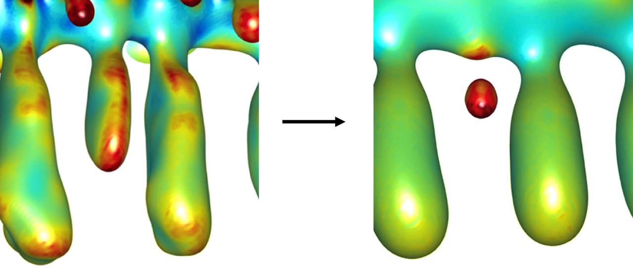 jsc2020e030481 (7/8/2020) --- This preflight image of the Dendrite Fragmentation and Morphology during Melting and Solidification (DFM) (SUBSA-DFM) investigation of shows a small portion of an experimentally determined dendrite. The image on the right shows the same portion with the formation of a fragment and other morphological changes after a simulated temperature change. Colors show the mean curvature of the dendrite interfaces (red corresponds to high positive curvature, blue to high negative curvature, and green to zero curvature). (Image Courtesy Techshot, Inc.)